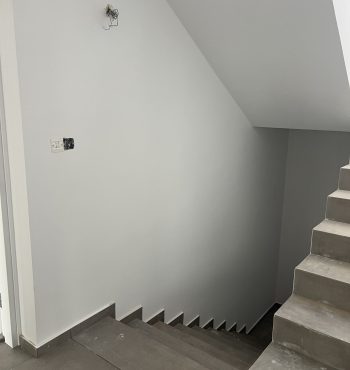 Showroom 1